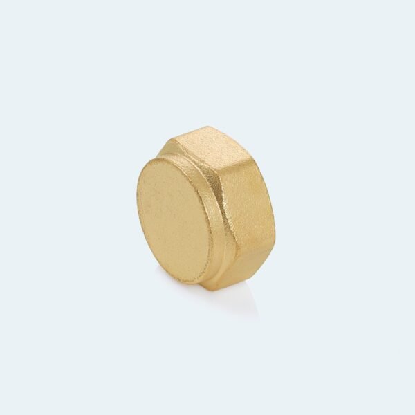 Split Valve Cap (Pack of 10)